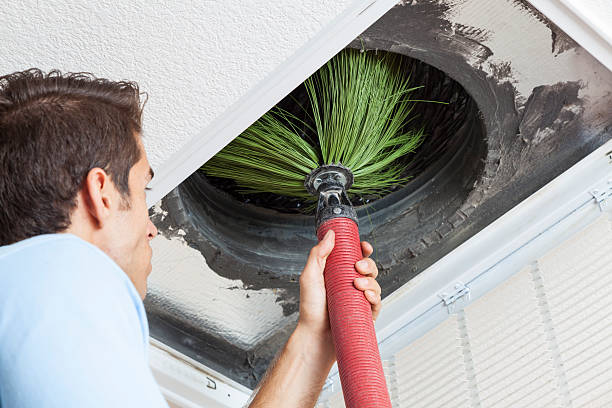 Best Air Vent Cleaning Services  in Basye, VA